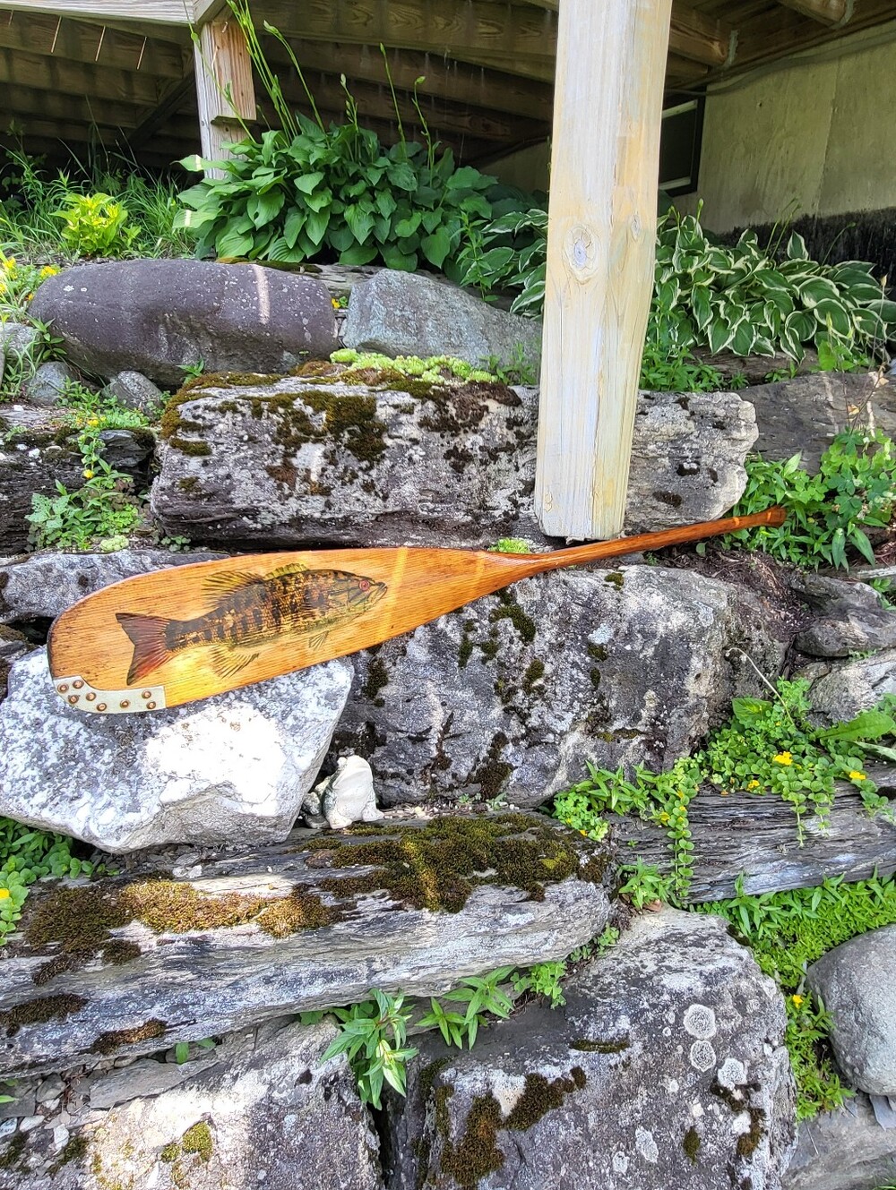 Fish Wall Plaque/paddle - Nautical Accent